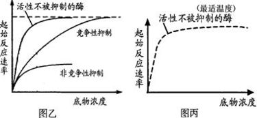 合成技術(shù)研發(fā)中的酶競爭性抑制機制及其啟示